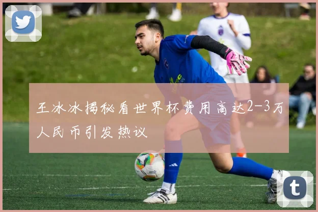 王冰冰揭秘看世界杯费用高达2-3万人民币引发热议
